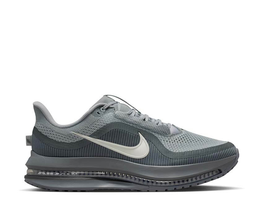 Nike Pegasus Premium HQ2592-013