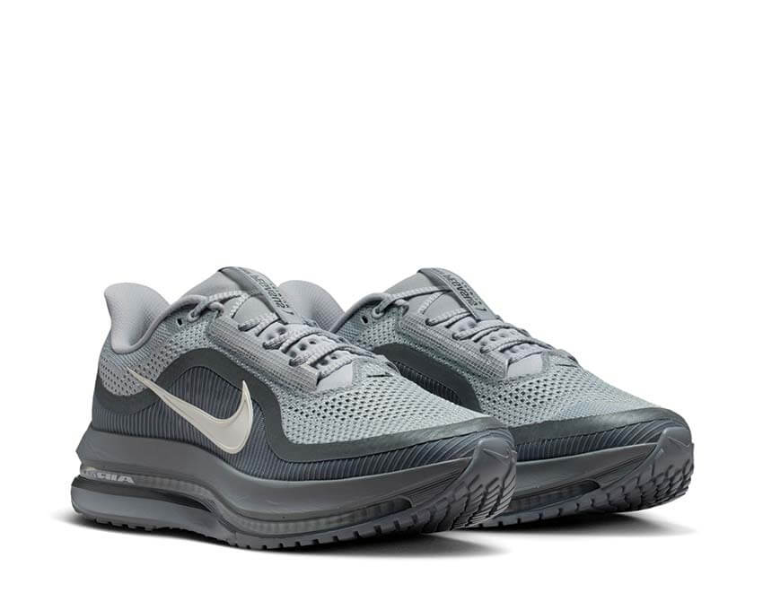 Nike Pegasus Premium HQ2592-013