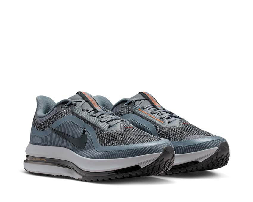 Nike Pegasus Premium HQ2592-014