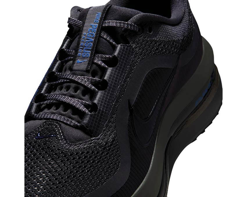 Nike Pegasus Premium HQ2592-015