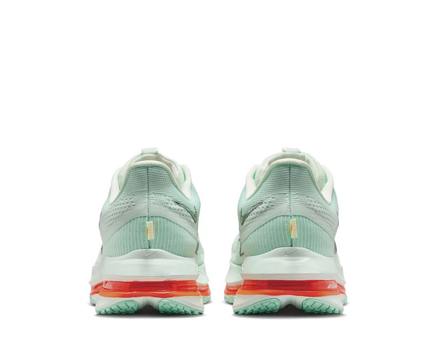  Nike Pegasus Premium HQ2592-301 