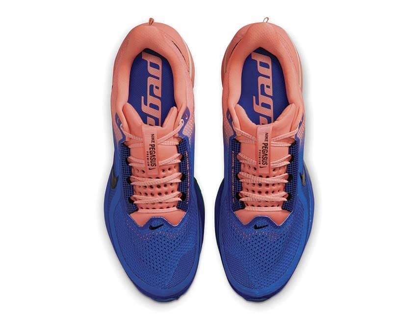 Nike Pegasus Premium HQ2592-401