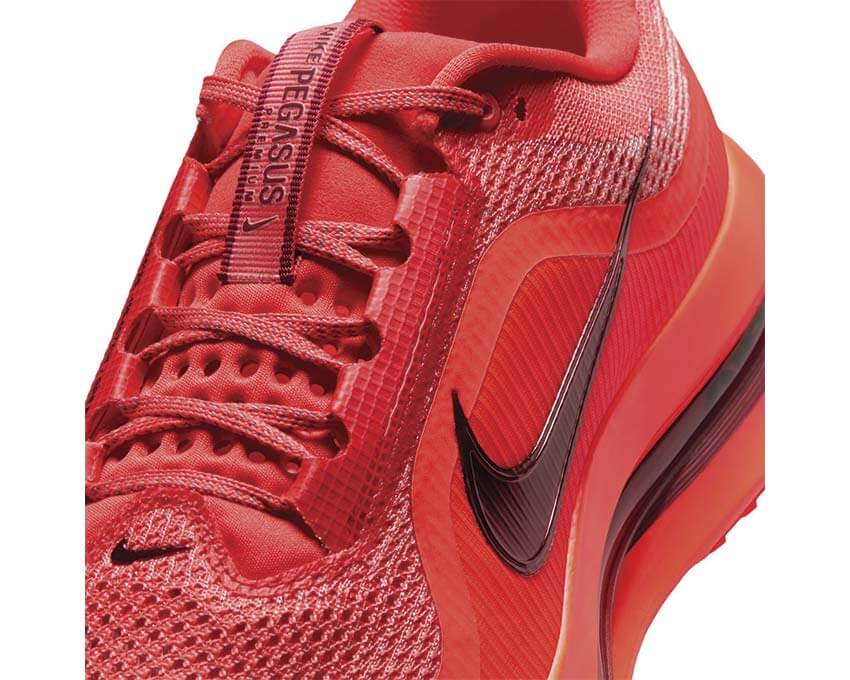 Nike Pegasus Premium HQ2592-601