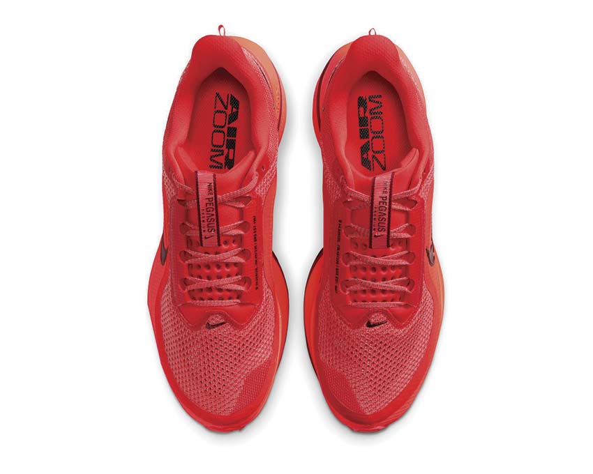 Nike Pegasus Premium HQ2592-601