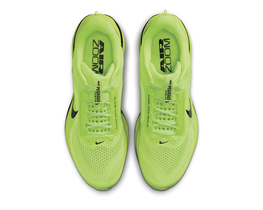 Nike Pegasus Premium HQ2592-700