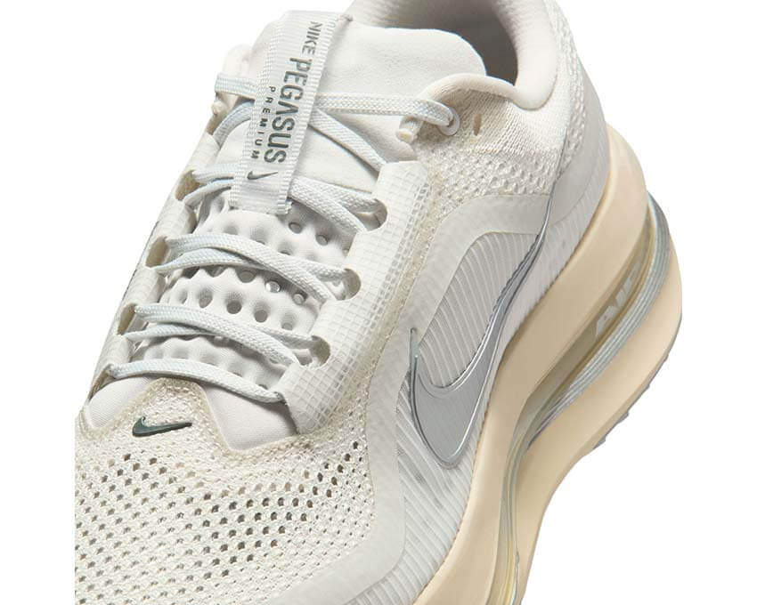  Nike Pegasus Premium IQ0307-094