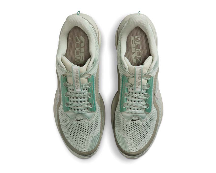  Nike Pegasus Premium Jade Horizon/Light Army-Jade Horizon HQ2592-300