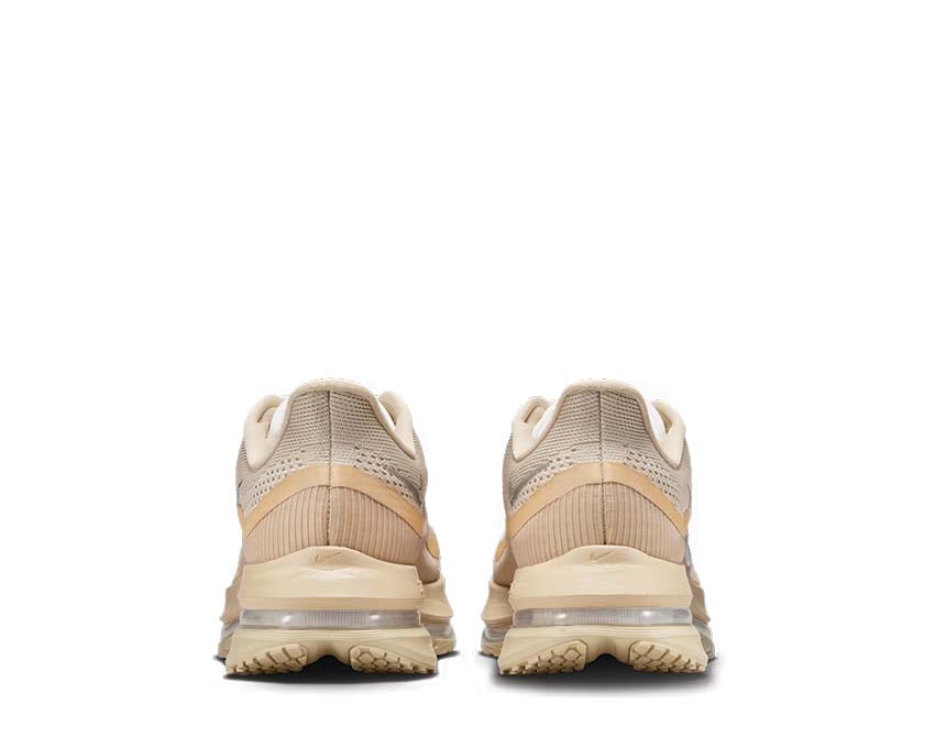 Nike Pegasus Premium SP IH4369-200