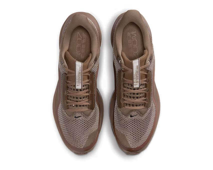 Nike Pegasus Premium SP IQ5691-200