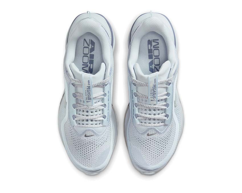 Nike Pegasus Premium W HQ2593-006