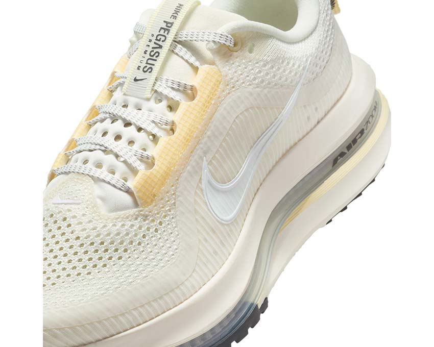 Nike Pegasus Premium W HQ2593-104