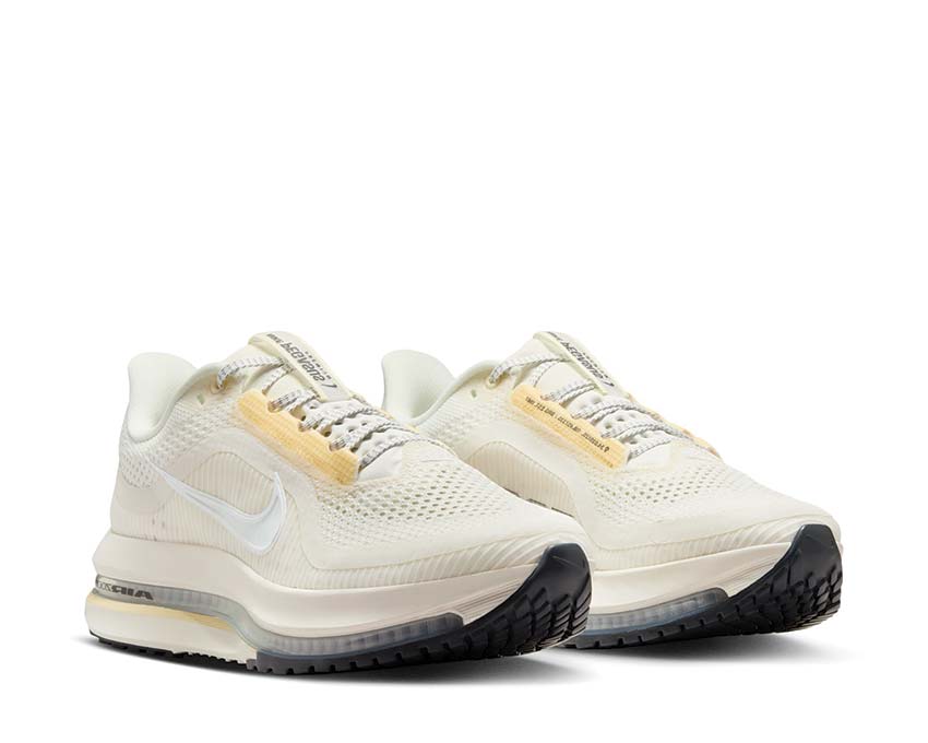 Nike Pegasus Premium W HQ2593-104