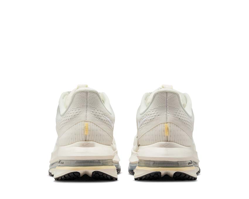 Nike Pegasus Premium W HQ2593-104