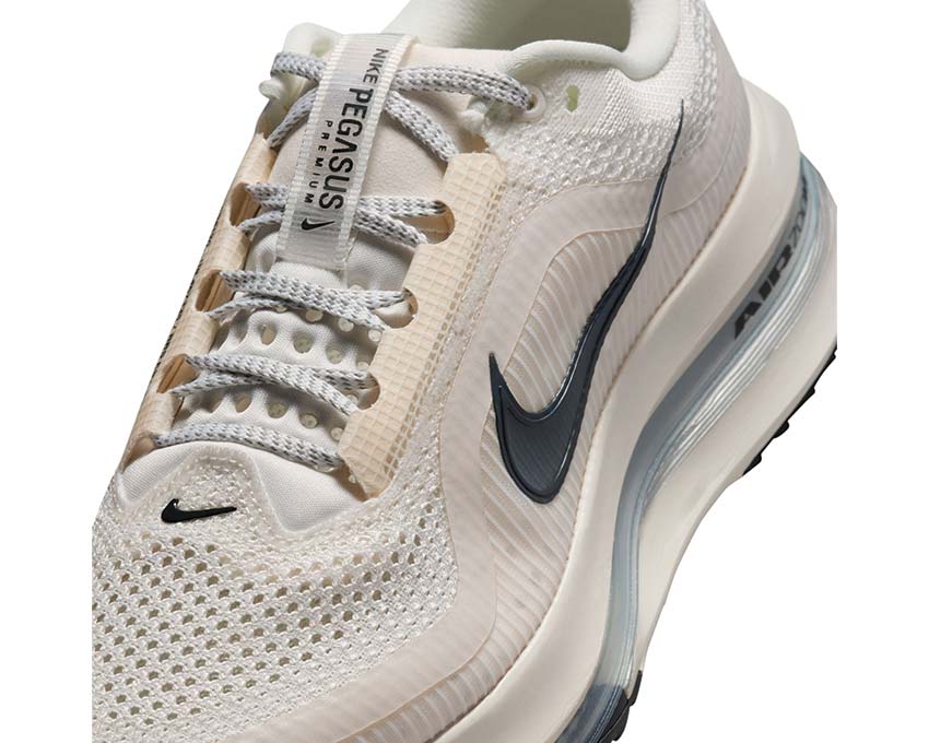 Nike Pegasus Premium W HQ2593-106