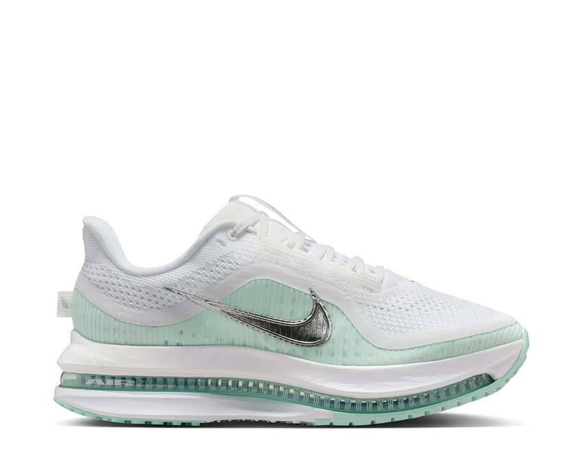  Nike Pegasus Premium W White / Metallic Silver - Mint Foam - Cannon HQ2593-103