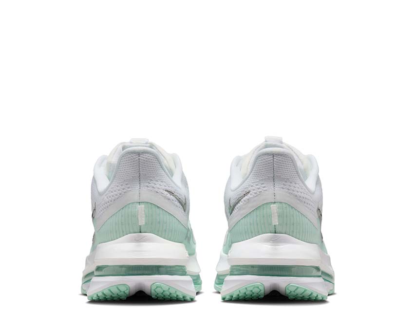  Nike Pegasus Premium W White / Metallic Silver - Mint Foam - Cannon HQ2593-103