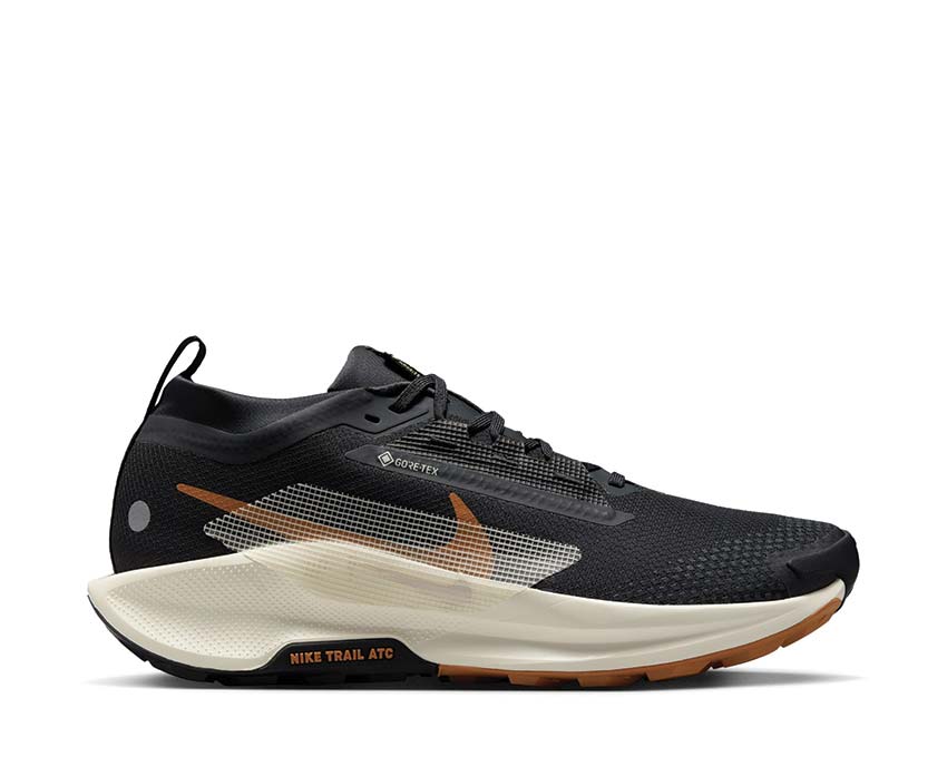 Nike Pegasus Trail 5 GTX Off Noir / Pale Ivory - Black - Monarch FQ0908-007