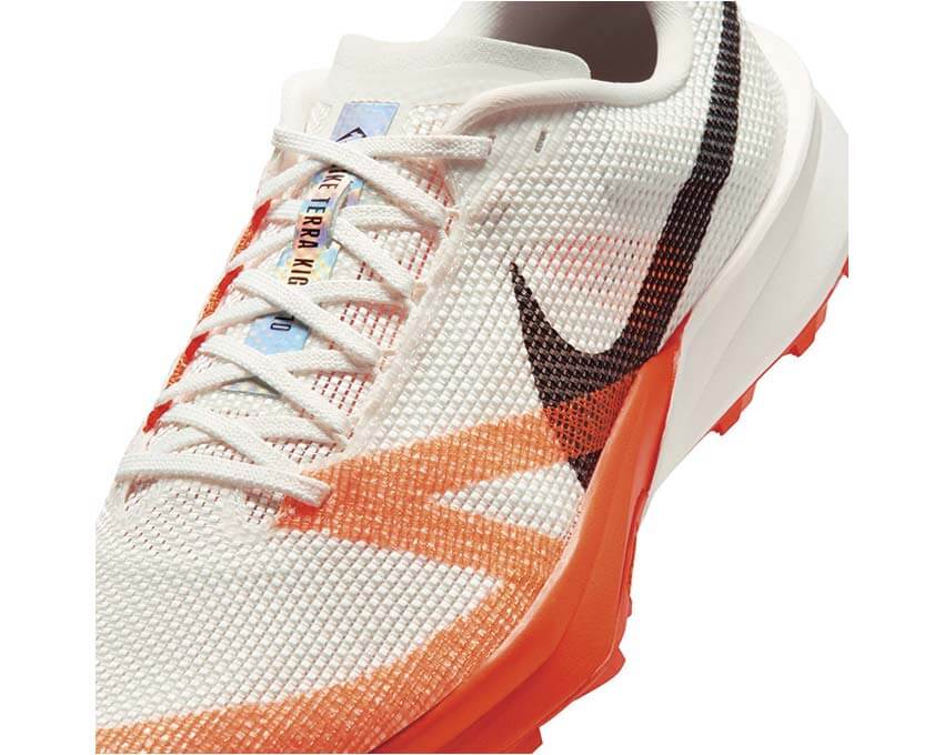 Nike Terra Kiger 10 FV3929-103