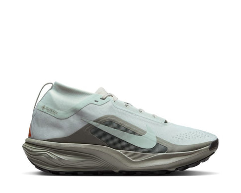 Nike Acg Pegasus Trail Gtx "Silver"