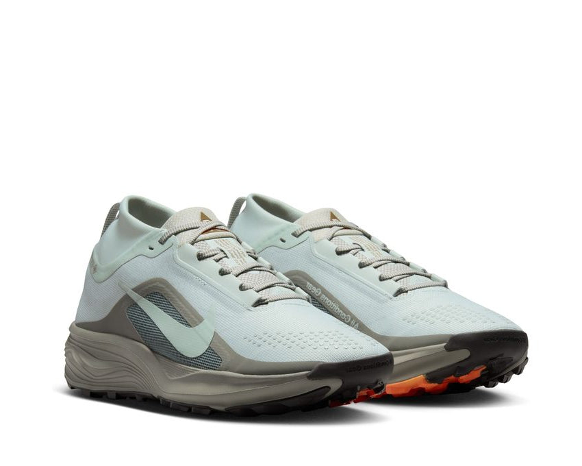 Nike Acg Pegasus Trail Gtx "Silver"
