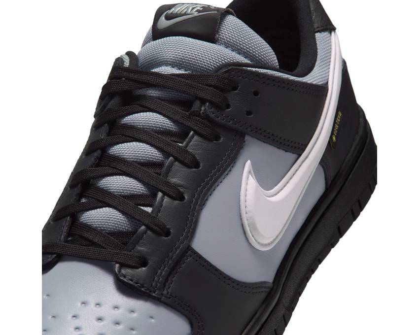 Nike Dunk Low Gtx "Oil Grey"