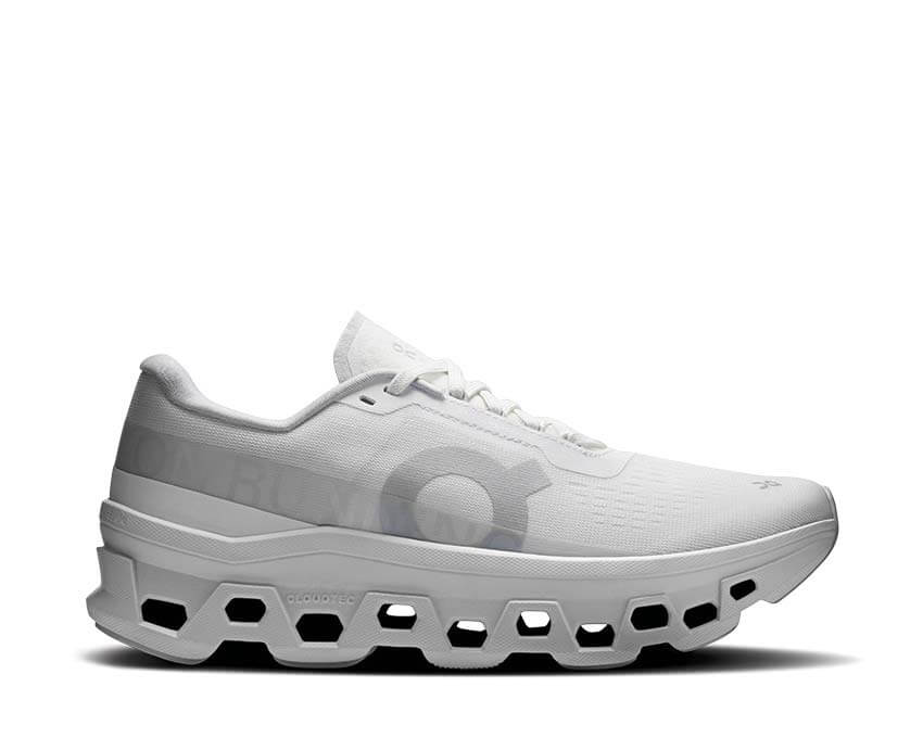 ON Cloudmonster 1 3WF30481200