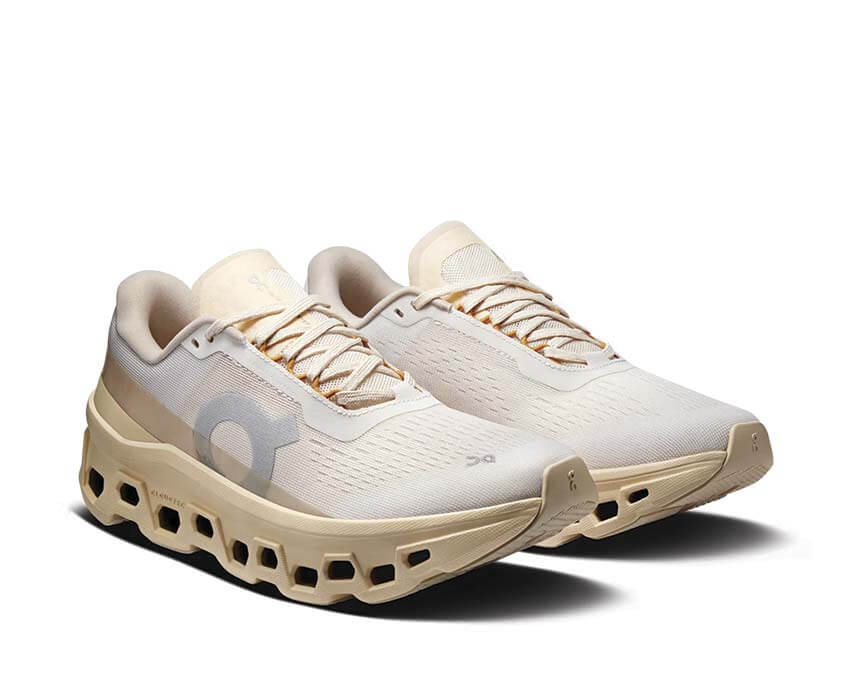  ON Cloudmonster 1 3WF30484910