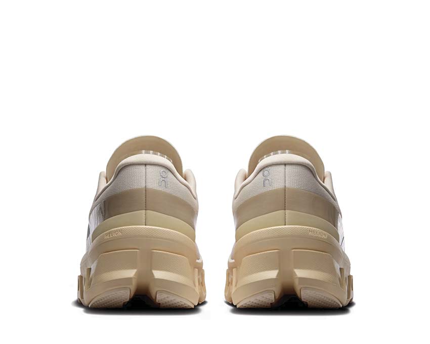  ON Cloudmonster 1 3WF30484910