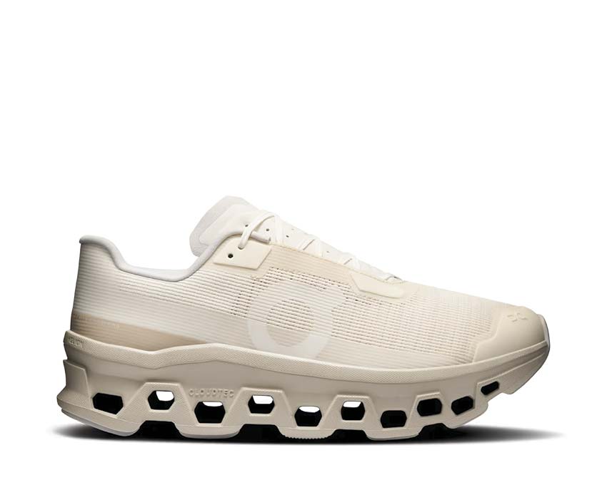 ON Cloudmonster Void M 3MF10674179