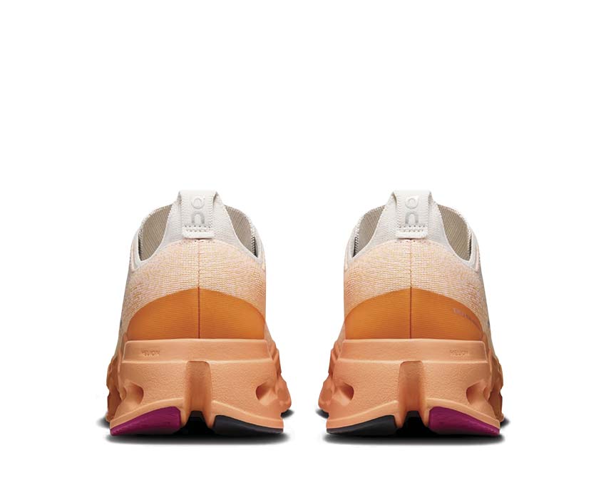  ON Cloudsurfer Max M 3MF30433196