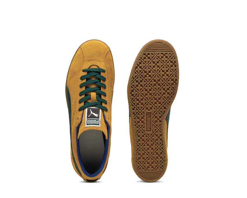 Puma Brasil Tangerine / Dark Myrtle 401048 02