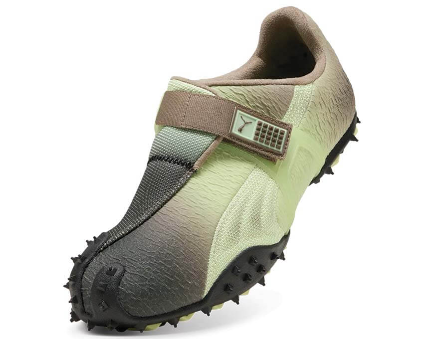 Puma Rpt-2 Biology 406228-01