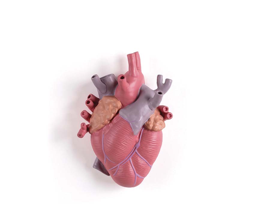 Seletti Love in Bloom Vase Color 09923