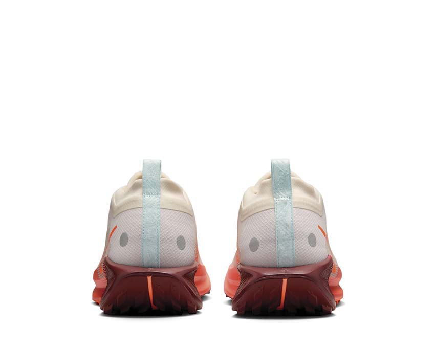 Nike Pegasus Trail 5 GTX "Silt Red"