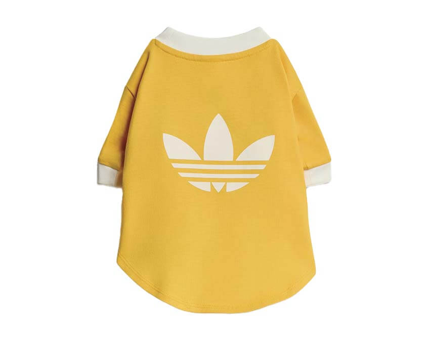 Adidas Pet Cali Tee "Bold Gold"