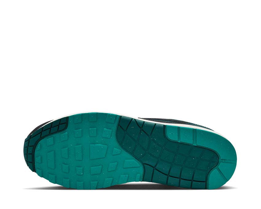 Nike Air Max 1 Prm Black FB8914-100