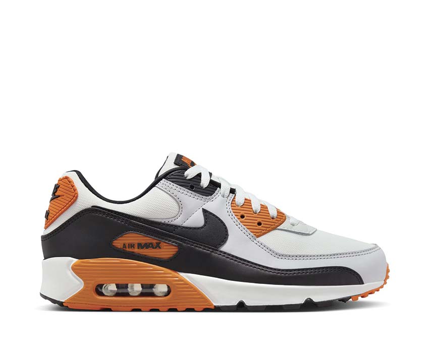 Nike Air Max 90 Pure Platinum / Summit White - Black - Monarch FB9658-003