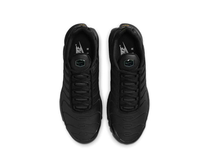 Nike Air Max Plus Black / Black - Black AJ2029-001