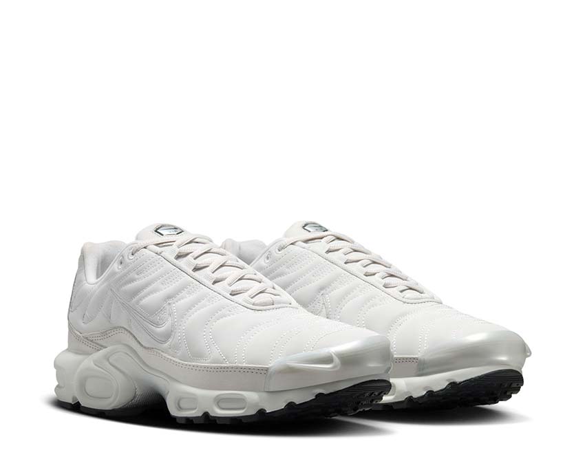 Nike Air Max Plus W Platinum Tint FZ4342-001