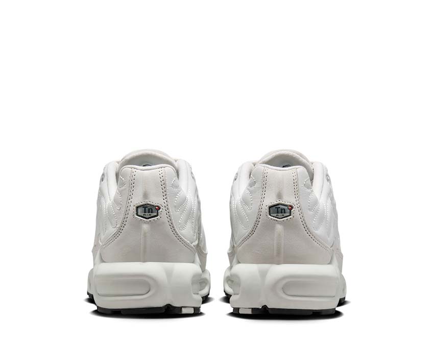 Nike Air Max Plus W Platinum Tint FZ4342-001