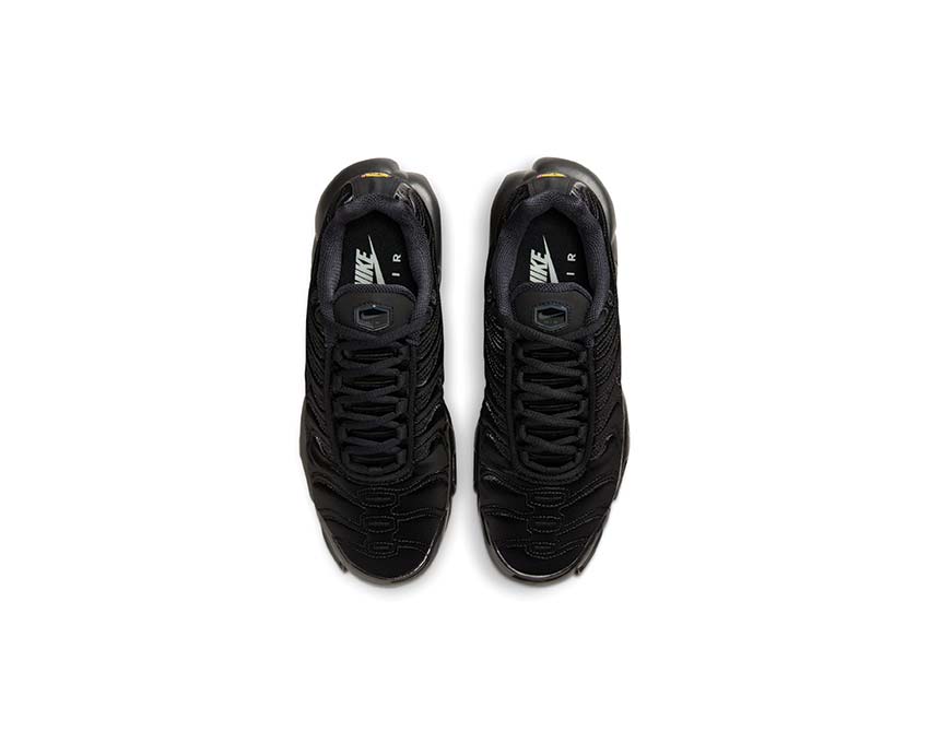 Nike Air Max Plus W Black / Black - Anthracite - Sail FV1169-001