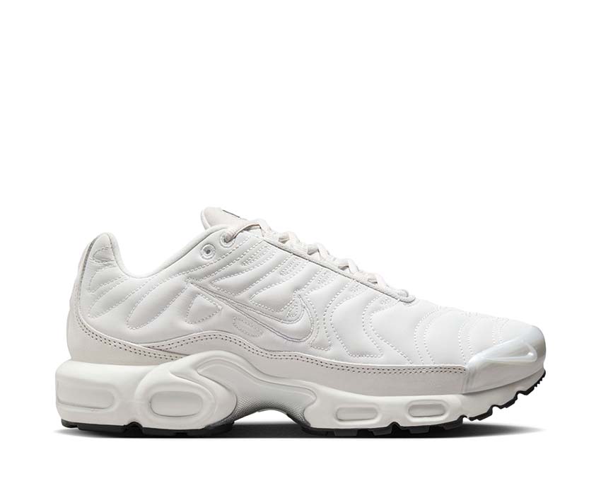 Nike Air Max Plus W Platinum Tint FZ4342-001