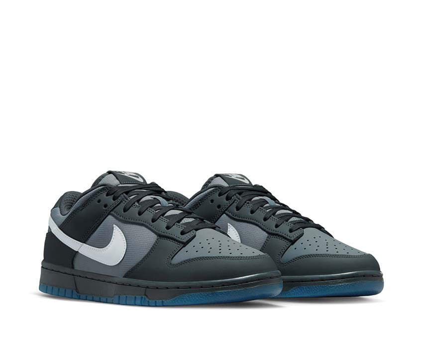 Nike Dunk Low Anthracite / Pure Platinum - Cool Grey FV0384-001