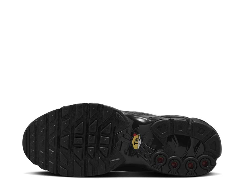 Nike Air Max Plus W Black / White HF0074-001