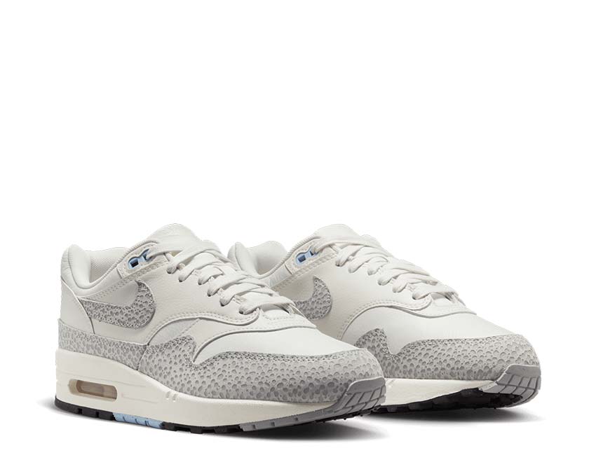 Nike Air Max 1 SFR Summit White / Phantom - Sail - Photon Dust FB5059-100