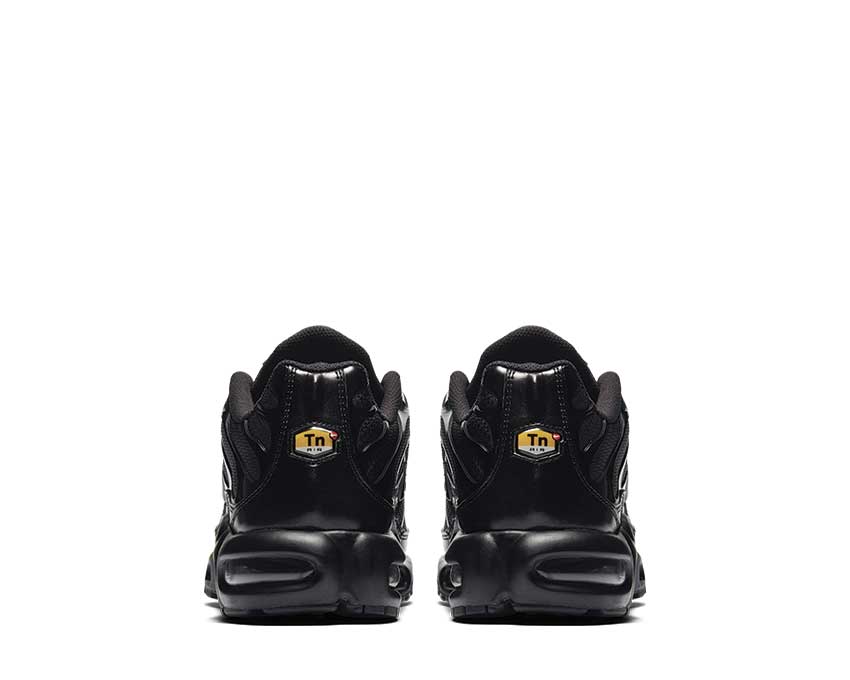 Nike Air Max Plus Black Black 604133-050