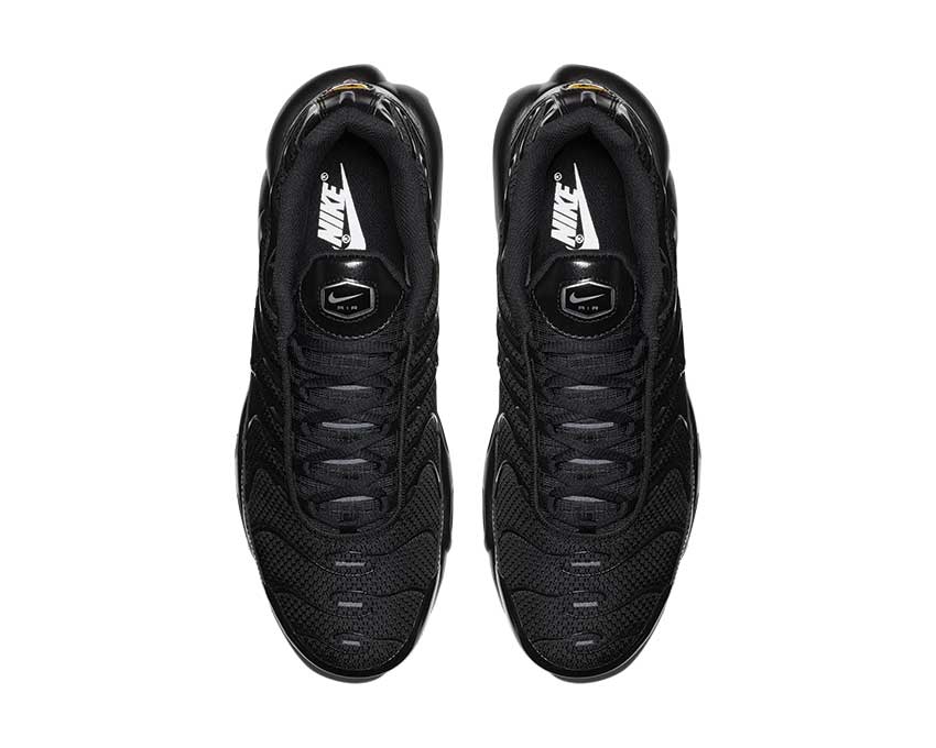 Nike Air Max Plus Black Black 604133-050