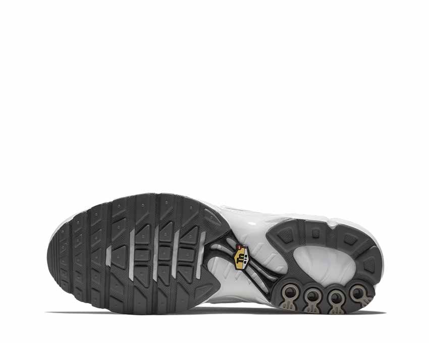 Nike Air Max Plus White 604133-139